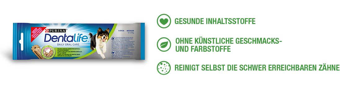 Zahnpflege Produkte Gratis Testen Hund Katze Proben Kostenlos